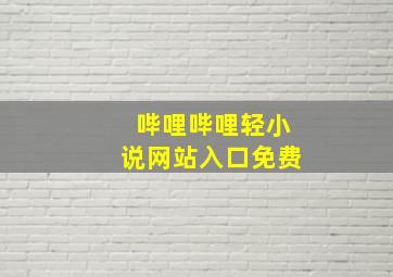 哔哩哔哩轻小说网站入口免费