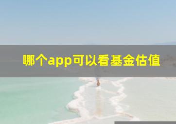 哪个app可以看基金估值