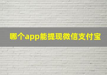 哪个app能提现微信支付宝