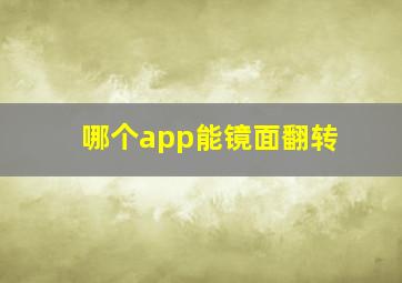 哪个app能镜面翻转