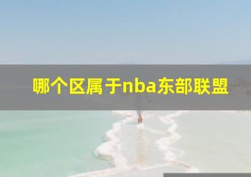 哪个区属于nba东部联盟