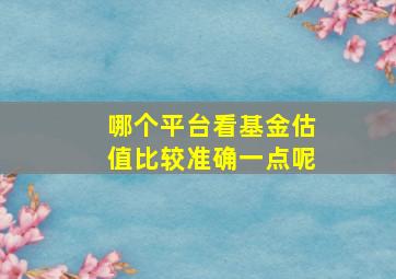 哪个平台看基金估值比较准确一点呢