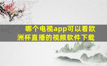 哪个电视app可以看欧洲杯直播的视频软件下载