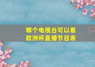 哪个电视台可以看欧洲杯直播节目表