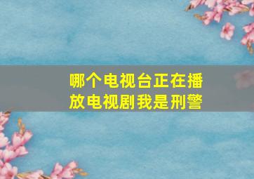 哪个电视台正在播放电视剧我是刑警