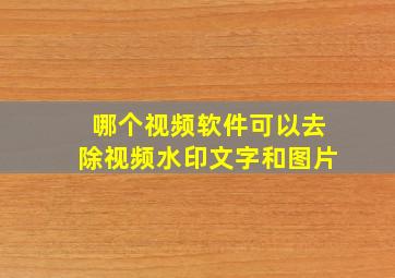 哪个视频软件可以去除视频水印文字和图片