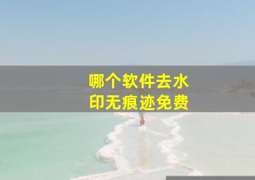 哪个软件去水印无痕迹免费