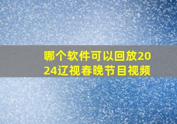 哪个软件可以回放2024辽视春晚节目视频