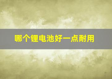 哪个锂电池好一点耐用