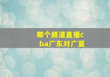 哪个频道直播cba广东对广夏