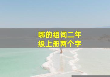 哪的组词二年级上册两个字