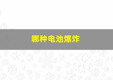 哪种电池爆炸