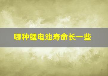 哪种锂电池寿命长一些