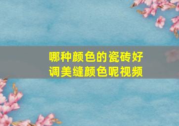 哪种颜色的瓷砖好调美缝颜色呢视频