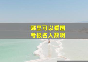 哪里可以看国考报名人数啊