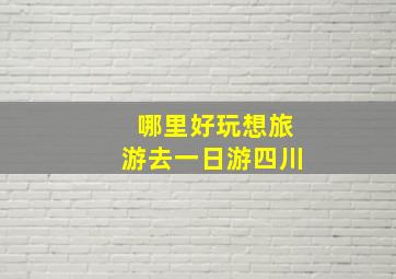 哪里好玩想旅游去一日游四川