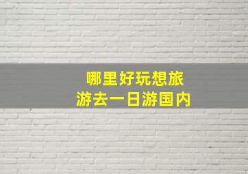 哪里好玩想旅游去一日游国内