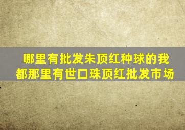 哪里有批发朱顶红种球的我都那里有世口珠顶红批发市场