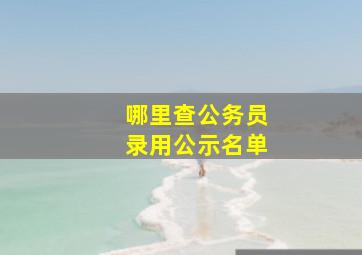 哪里查公务员录用公示名单