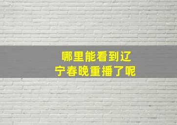 哪里能看到辽宁春晚重播了呢