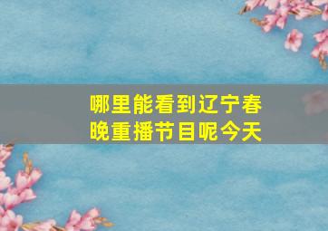 哪里能看到辽宁春晚重播节目呢今天