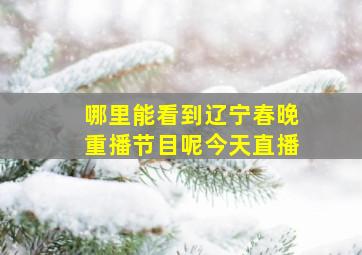 哪里能看到辽宁春晚重播节目呢今天直播