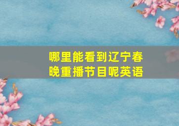 哪里能看到辽宁春晚重播节目呢英语