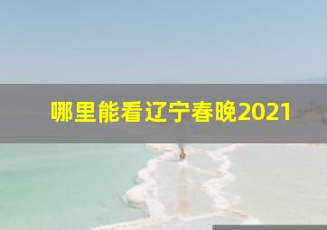 哪里能看辽宁春晚2021