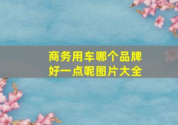 商务用车哪个品牌好一点呢图片大全