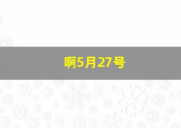 啊5月27号