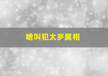 啥叫犯太岁属相