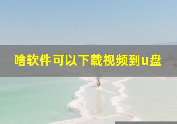 啥软件可以下载视频到u盘