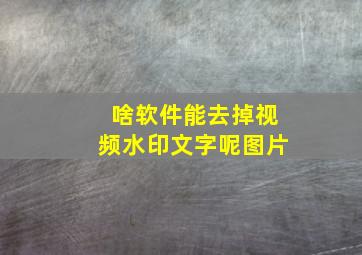 啥软件能去掉视频水印文字呢图片