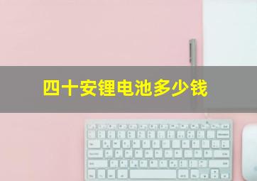 四十安锂电池多少钱