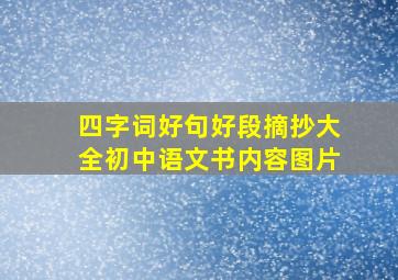 四字词好句好段摘抄大全初中语文书内容图片