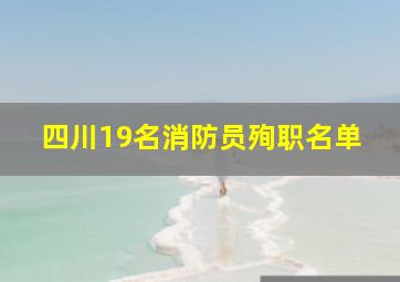 四川19名消防员殉职名单