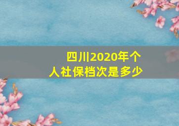 四川2020年个人社保档次是多少