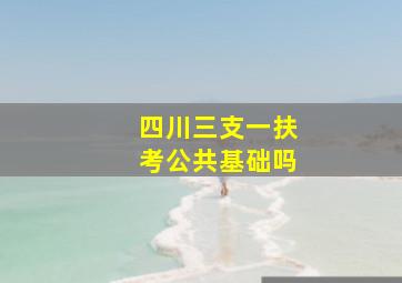 四川三支一扶考公共基础吗