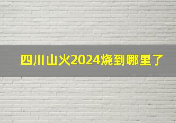 四川山火2024烧到哪里了