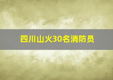 四川山火30名消防员