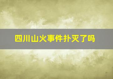 四川山火事件扑灭了吗