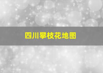 四川攀枝花地图