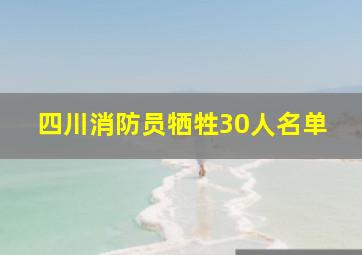 四川消防员牺牲30人名单