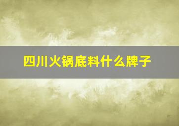 四川火锅底料什么牌子