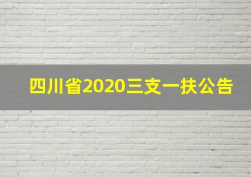 四川省2020三支一扶公告