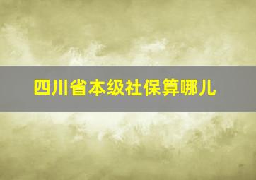 四川省本级社保算哪儿