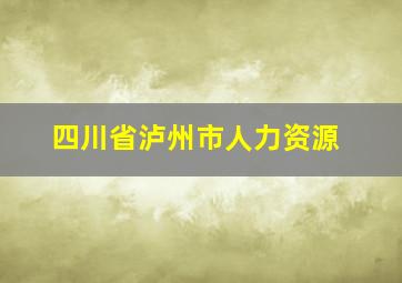 四川省泸州市人力资源