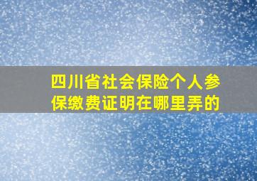 四川省社会保险个人参保缴费证明在哪里弄的