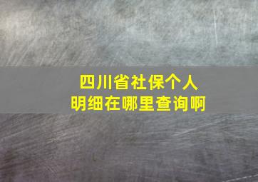 四川省社保个人明细在哪里查询啊