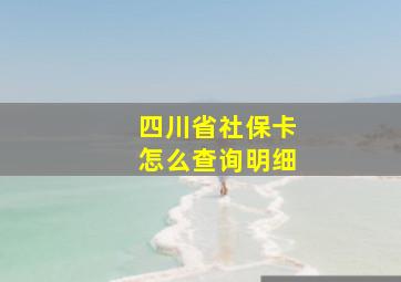 四川省社保卡怎么查询明细